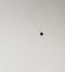 Class 20/26 Bobbin Case Tension Adjusting Screw